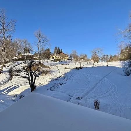 Studio, 2 Couchages, Meg400-t122