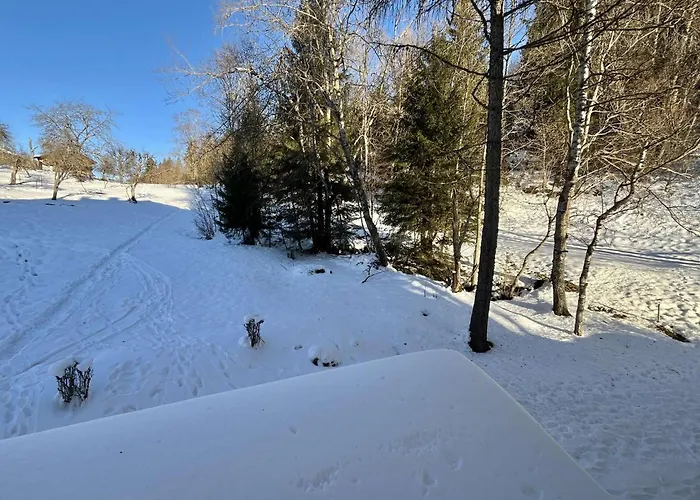 Studio, 2 Couchages, Meg400-t122 Megève